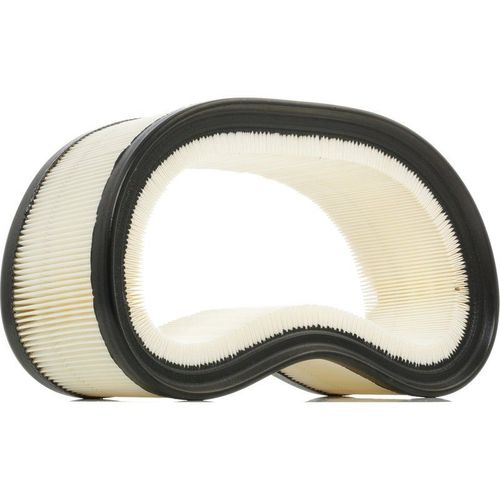 Ridex Filtre À Air Renault,Nissan,Dacia 8a0193 6001543789,7701047655,7701069212  7701069365,7701070525,1654600qaj,7700274216,7701047655,7701069212