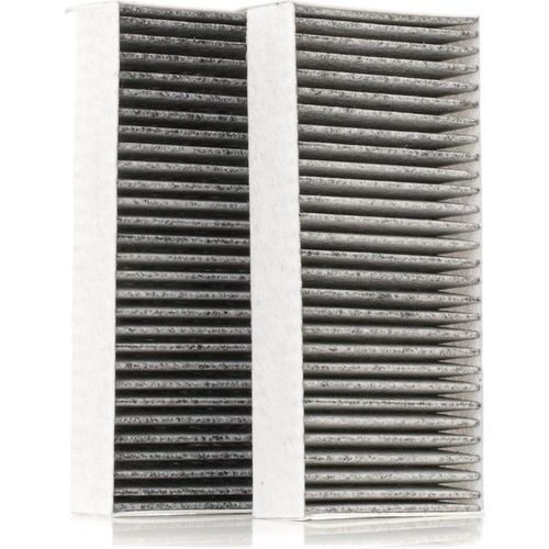 Ridex Filtre D'habitacle Bmw,Mini 424i0431 64116823725,64116823726,64119321875 64316823716,64316835405,64316835406,64319297750,64319390445,6823725