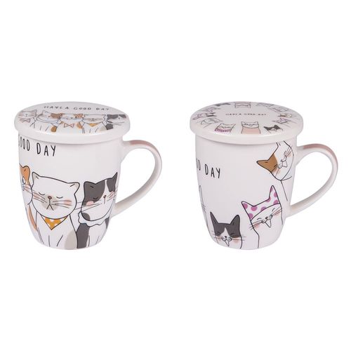 Coffret tisanière et filtre à thé 35 cl