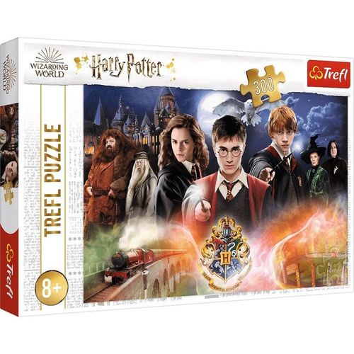 Harry Potter - Puzzle 300 Pièces