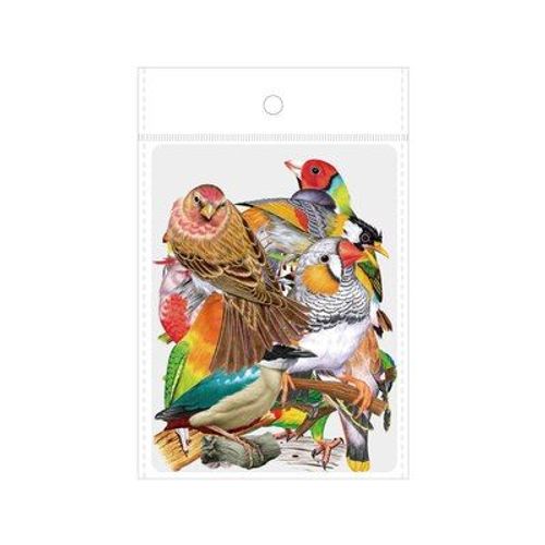 Autocollant Transparent Mignon Paquet De 30 Pièces/Paquet, Étiquette De Décoration De Compte À Main D'oiseau Libellule Papillon, Papeterie De Bricolage Pour Journal Intime