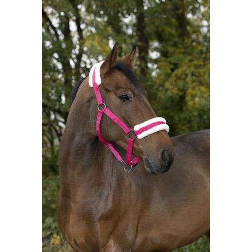 Licol Norton "Confort" Framboise Taille Poney, Équitation
