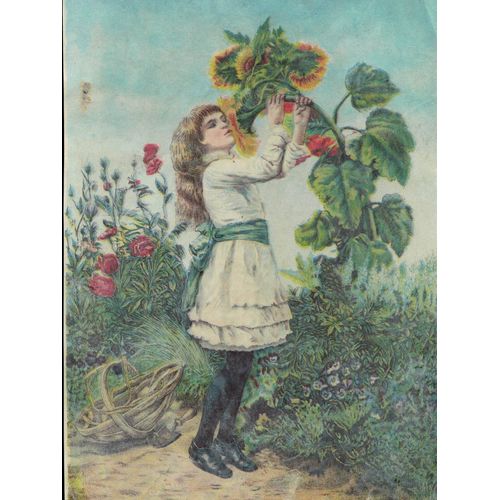 Chromos Jeune Fille Aux Tournesol