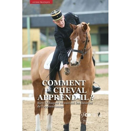 Comment Le Cheval Apprend-Il ? - Bien L'éduquer En Suivant Les Théories De L'apprentissage