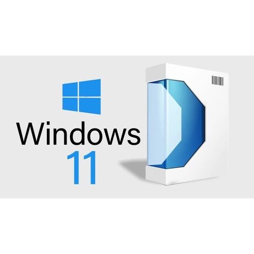 Windows 11 Pro
