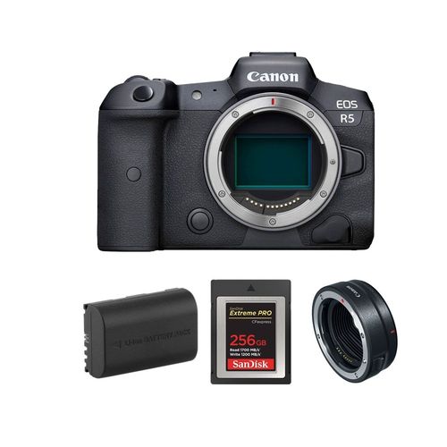 Boîtier Canon EOS R5 + adaptateur EOS R + carte SanDisk 256 Go Extreme Pro CF CFexpress Type B + batterie Canon LP-E6NH