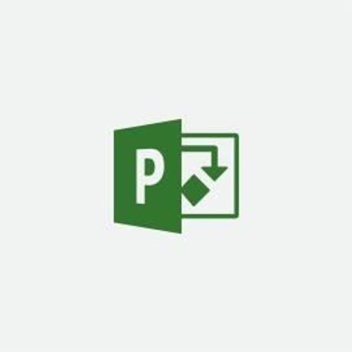 Microsoft Project Professional 2019 Complète 1 Licence(S) Anglais