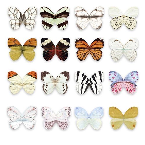 Lot De 4 Marqueurs Magnétiques En Forme De Papillon, Design Créatif, Marqueur De Page, Clip De Livre, Fournitures Scolaires Et De Bureau Pour Enseignant
