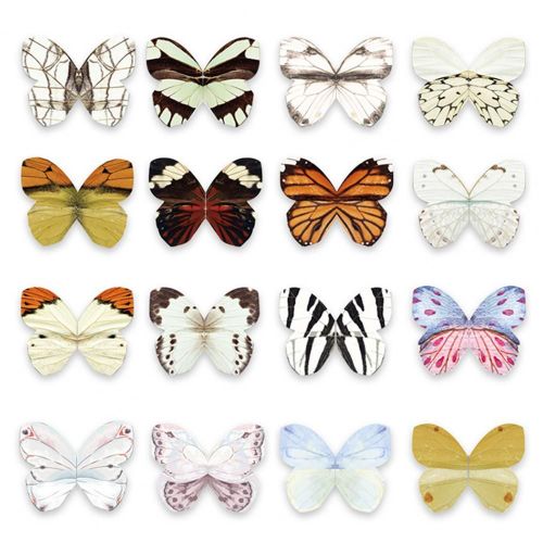 Porte-Marque-Page Papillon, 16 Pièces, Magnétique, Animal, Clip Pour Livre D'étudiant
