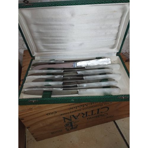 Ecrin De 12 Couteaux Vintage Inox Et Bakélite Perufel