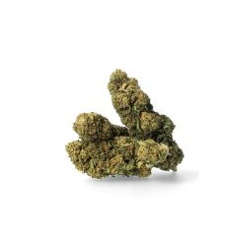 Amnesia Kush - Fleurs Cbd - 100 Grammes 