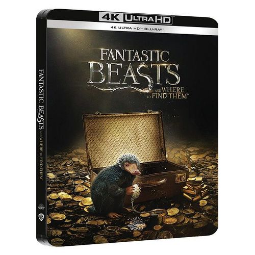 Les Animaux Fantastiques - 4k Ultra Hd + Blu-Ray - Boîtier Steelbook Limité