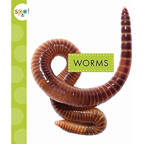 Worms
