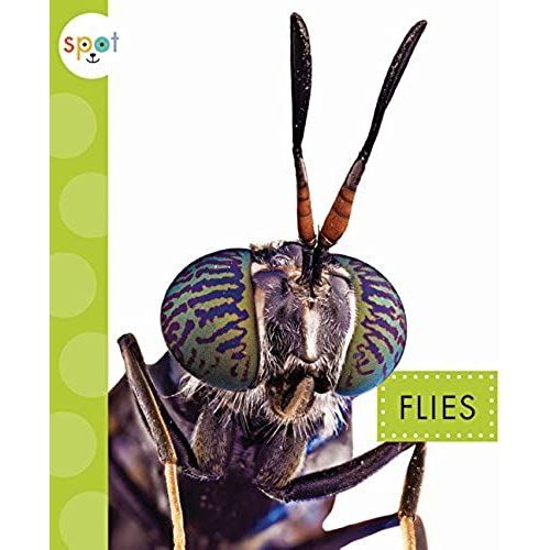 Flies