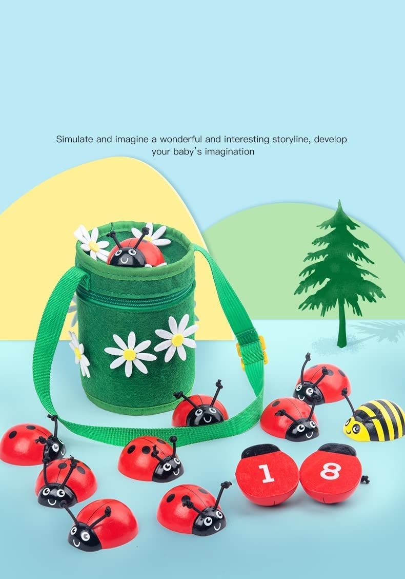 Coccinelle Compte Concept p dagogique Montessori Jouet