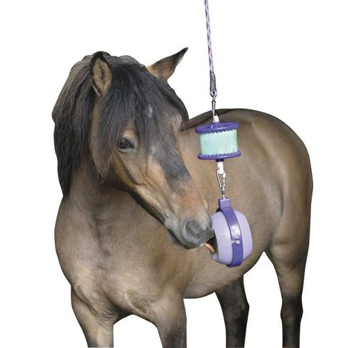 Support "Boredom Buster" Likit Pour Friandise Cheval, Équitation