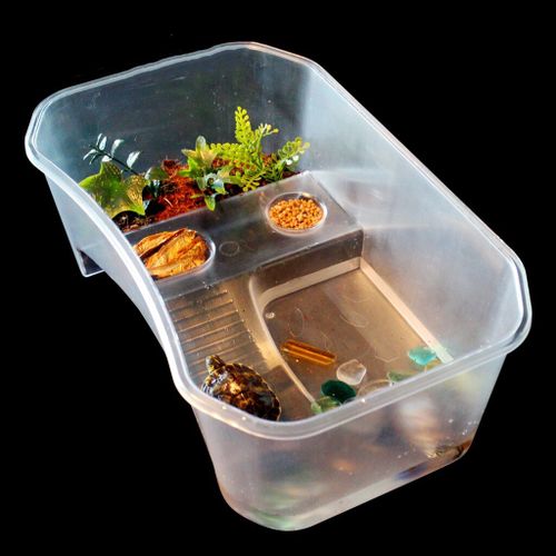Boîte D'élevage De Reptiles En Plastique, Boîte D'élevage De Tortues, Terrarium Avec Plate-Forme De Nage, Accessoires D'outils Alimentaires