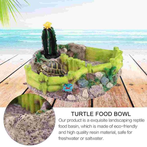 Bol À Eau Terrarium Repti, N¿Ud Crevette Dragon Barbu, Gecko Alimentation Serpent Ver, Bols Assiette Lézard