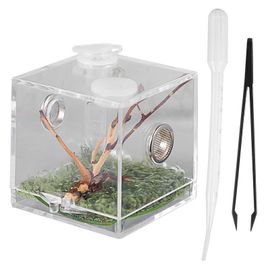 Boîte D'élevage De Reptiles Avec Compte-Gouttes Et Pinces, Étui Transparent Pour Terrarium D'animaux De Compagnie