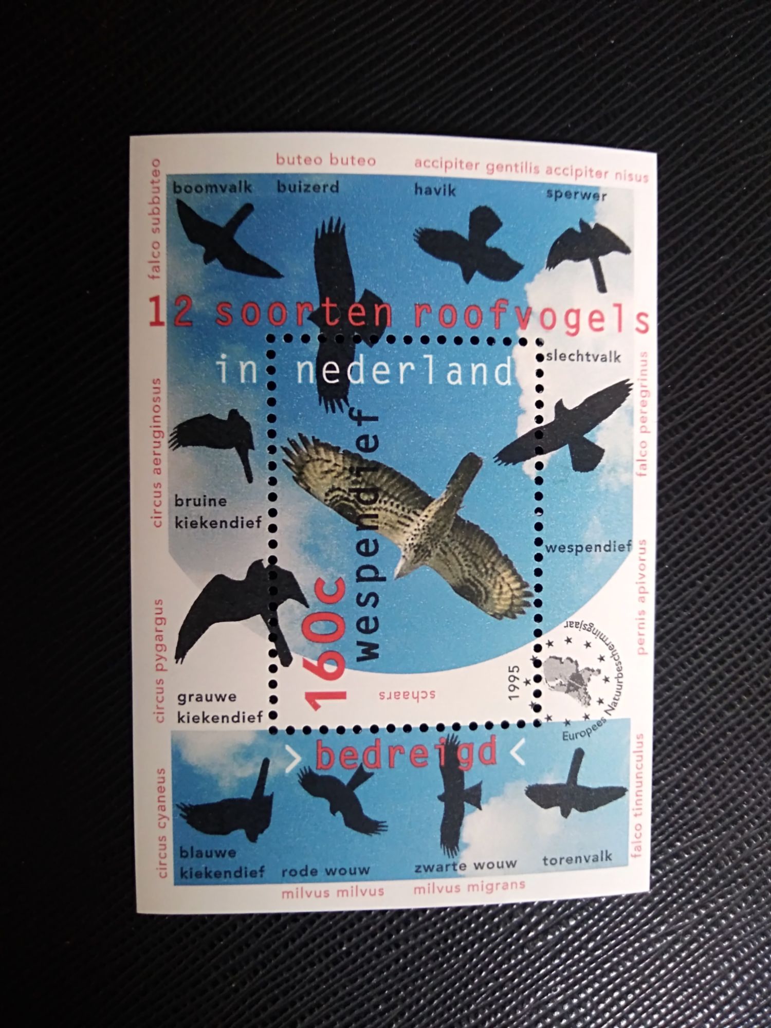 Timbre Pays Bas Yt Bf 44 Bloc-Feuillet Oiseaux De Proie 1995 ( 040906 )