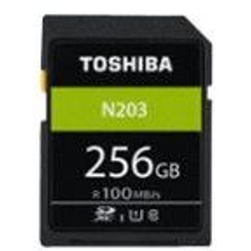 Toshiba Sd Exceria R100 N203 256gb