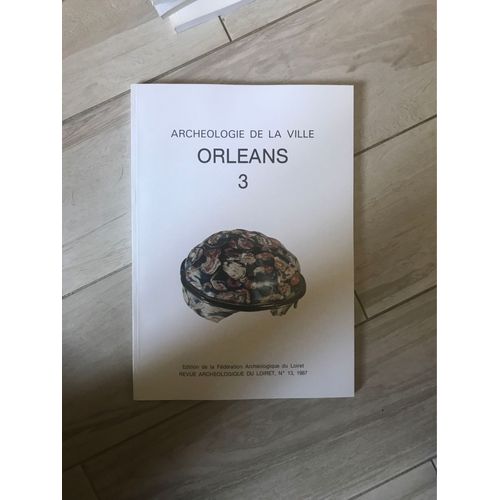 Archéologie De La Ville Orleans 3