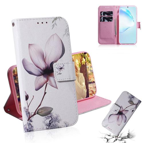 Samsung Galaxy S20 Plus Coque, Saturcase Beau Pu Cuir Magnétique Flip Portefeuille Support Porte-Carte Protecteur Housse Étui Pour Samsung Galaxy S20 Plus (Tx-7)