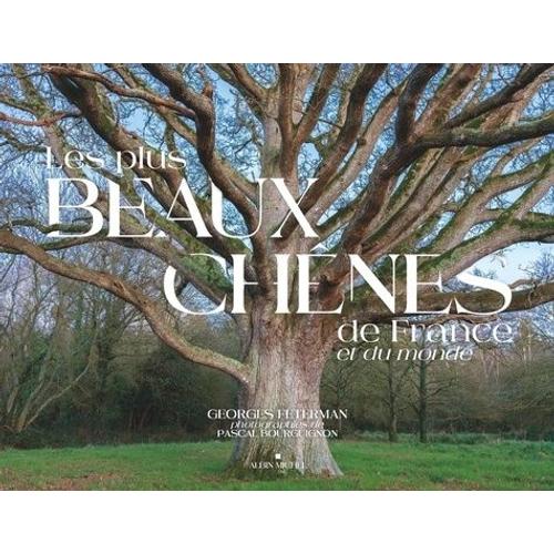 Les Plus Beaux Chênes De France Et Du Monde