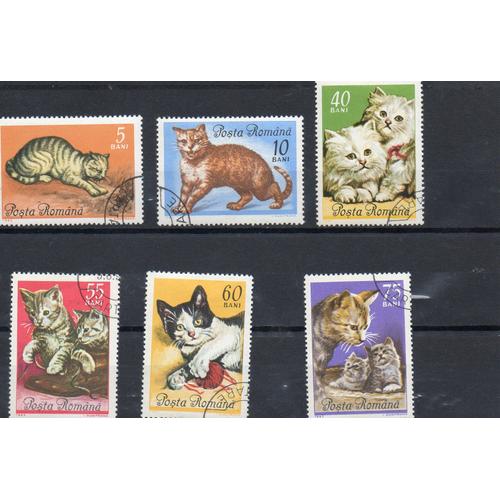 Roumanie Timbres Les Chatons