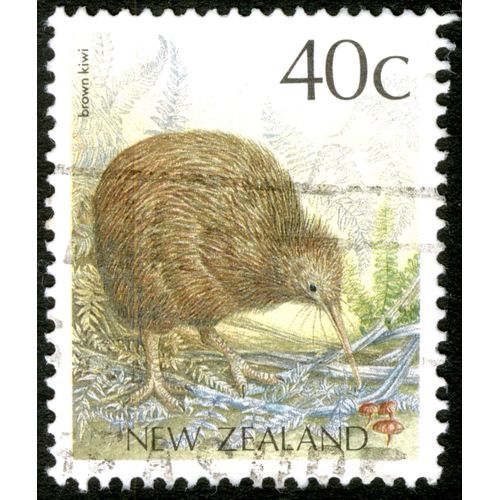 Timbre Oblitéré New Zealand, Brown Kiwi, 40 C