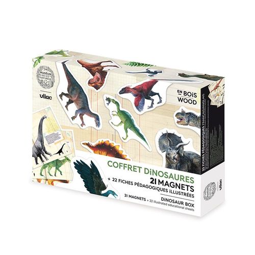 Coffret De 21 Magnets Dinosaures
