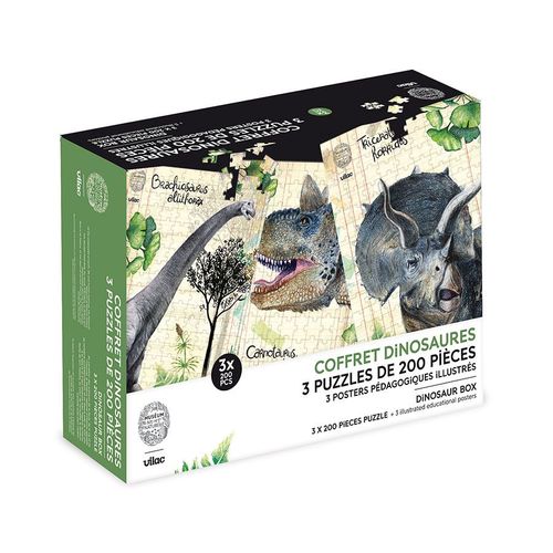 Coffret 3 Puzzles Dinosaures Et Posters