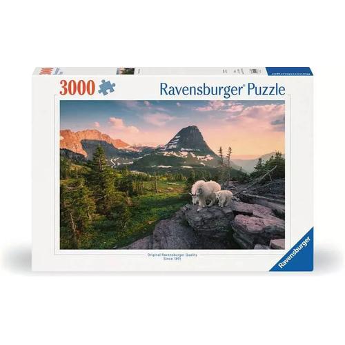 Ravensburger 12000809 Jeu De Puzzle 3000 Pièce(S) Autres