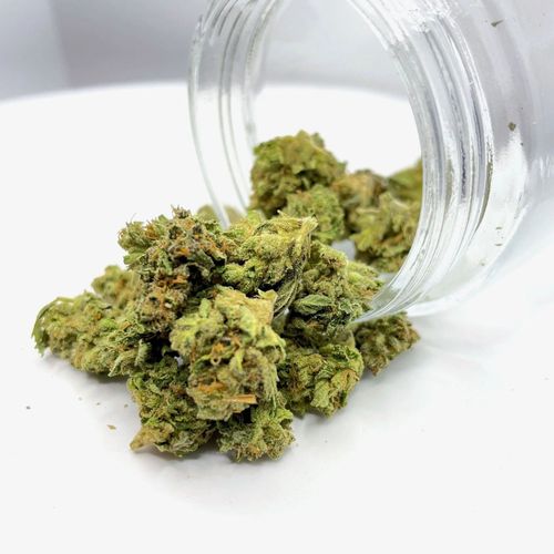 Fleur de Chanvre White Widow (5 grammes)