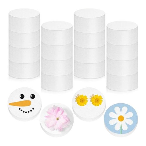 16 Pcs Foam Circles Polystyrene Foam Discs Cylinders Foam Crafts Round Foam White Block For Diy Art
