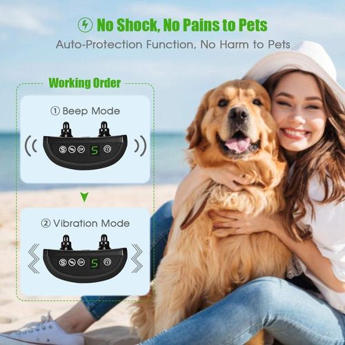 Le Noir - Collier Anti Aboiement Pour Chien, Rechargeable, Vibration Bip, Électrique, Pas De Mal, Entraînement, Pour Petits, Moyens Et Grands Chiots