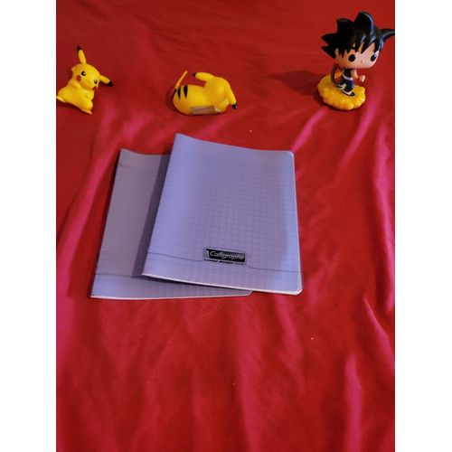 Lot 2 Cahiers 17x22 Cm 32 Pages Clairefontaine
