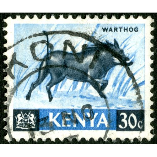Timbre Oblitéré Kenya, Warthog, 30c