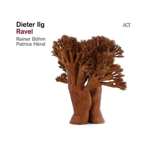 Dieter Ilg - Vinyle 33 Tours