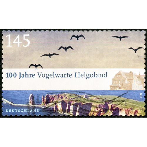 Timbre Oblitéré Deutschland, 100 Jahre Vogelwarte Helgoland, 2010, 145