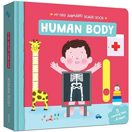 Human Body