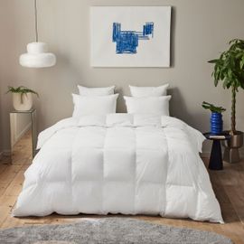 Dunlopillo | Couette Premium - 30% Duvet - Chaude - 220 X 240 Cm