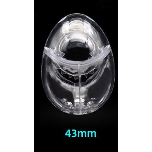 Dispositif De Chasteté Pour Homme, Nouveau Design, Type Oeuf, Dispositif De Retenue Totale, Ceinture De Bondage, Cage À Coq, Jouet Sexuel, Pointes Sissy, Anneau De Pénis, Bdsm