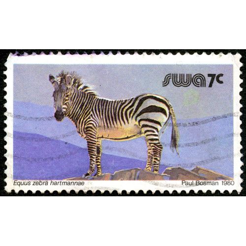 Timbre Oblitéré Swa, Equus Zebra Hartmannae, Paul Bosman 1980, 7c