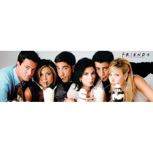 Friends - Milkshake - Puzzle 1000 Pièces