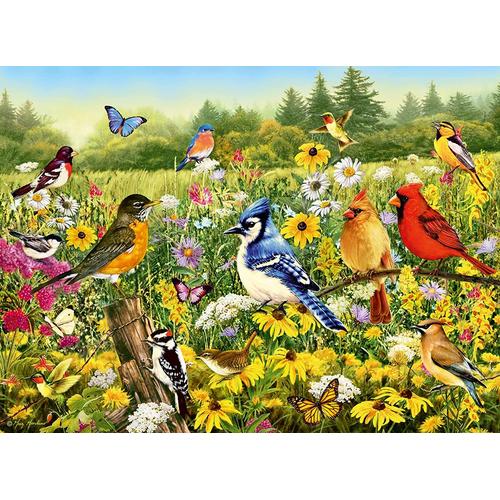 Oiseaux - Puzzle 500 Pièces