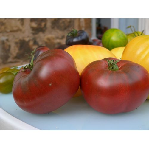 Tomate Noire De Crimée - 15 Graines