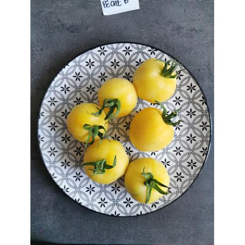 Tomate "Pêche Blanche" - 15 Graines