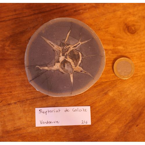 Septaria De Calcite - Minéral Collection