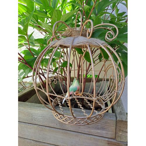 Cage et son oiseau solitaire recherchent un nouveau propriétaire